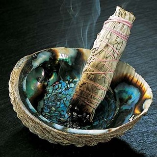 sage1
